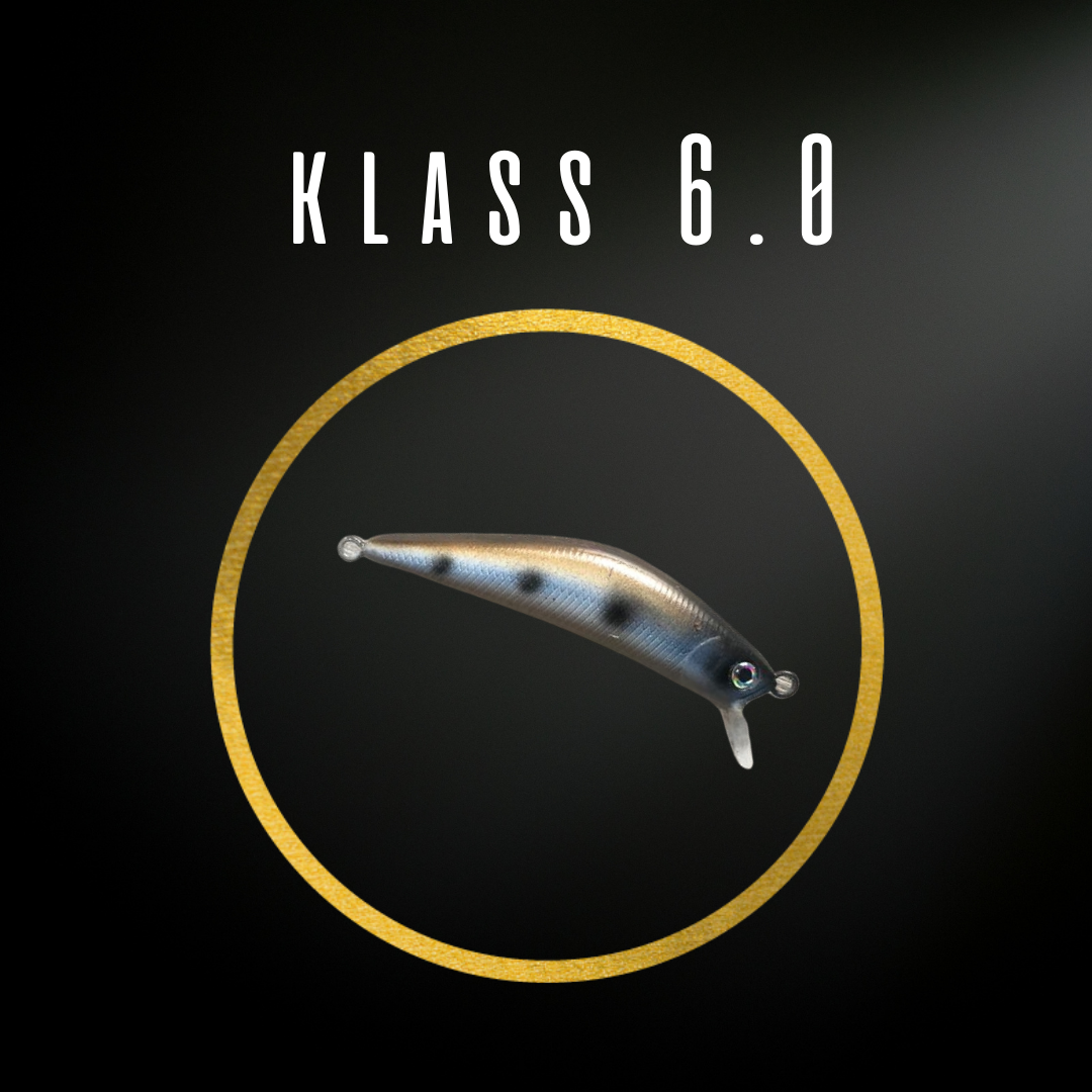 Klass-6.0