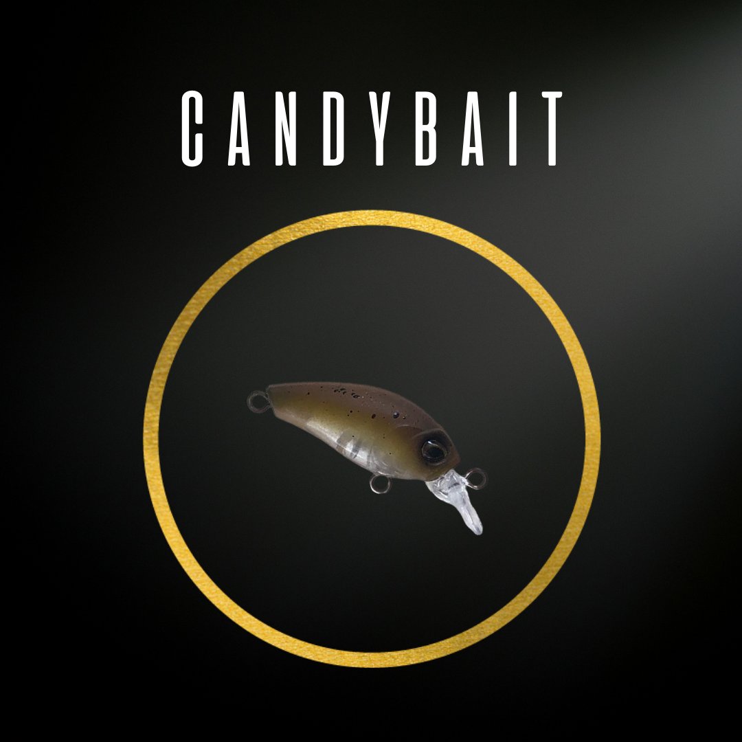 Candybait